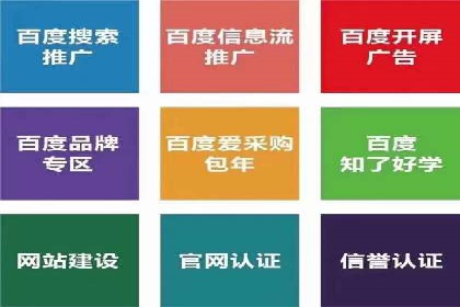 揭秘SEM竞价托管，案例展示效果