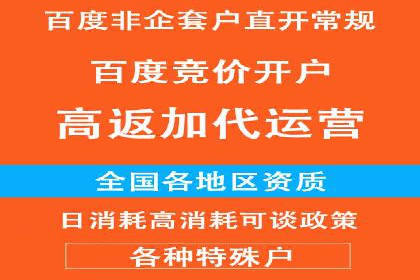 sem竞价托管代运营的实战技巧与案例